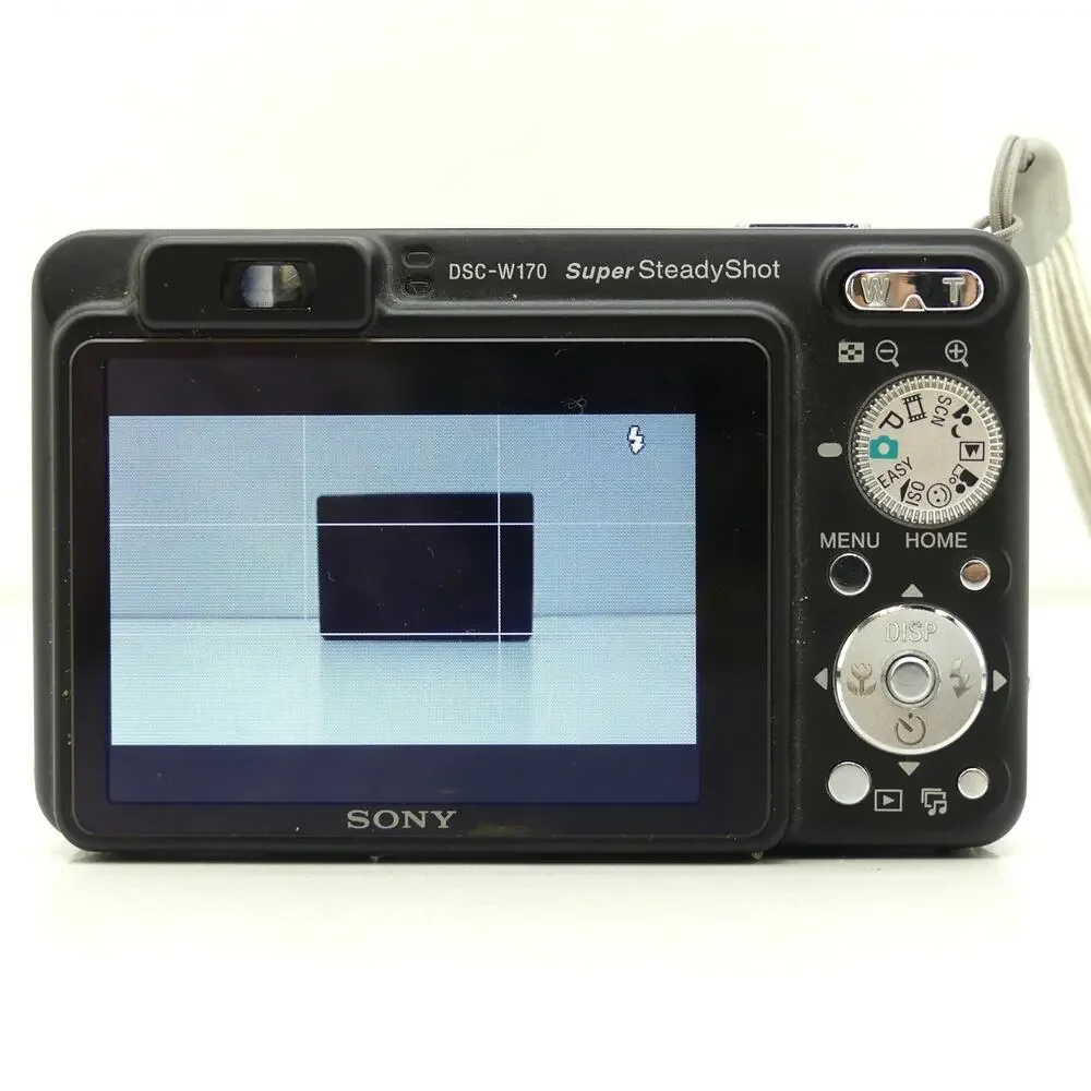Sony Cyber-shot DSC-W170 10.1MP Digital Camera 5x Zoom Charger 4GB Memory Card